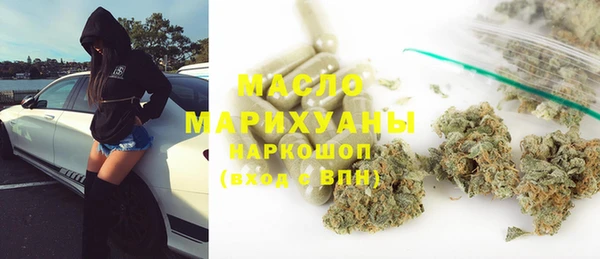 индика Приозерск
