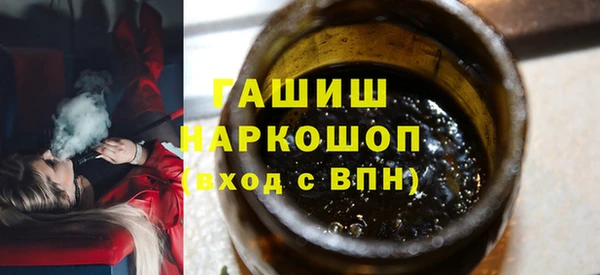 индика Приозерск