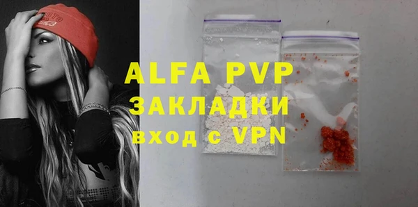 индика Приозерск