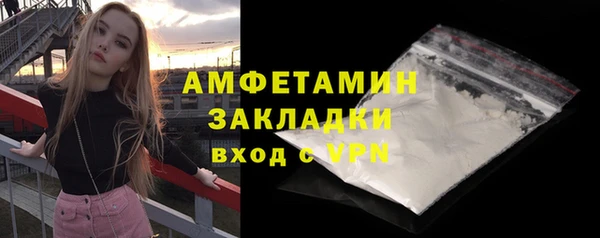 индика Приозерск