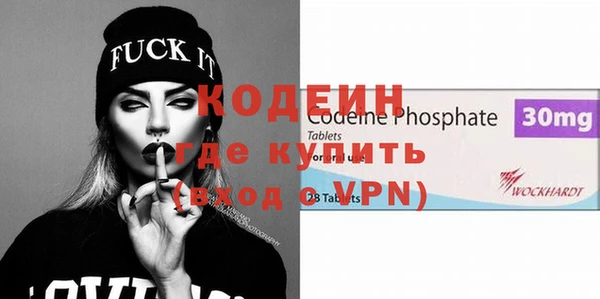 индика Приозерск