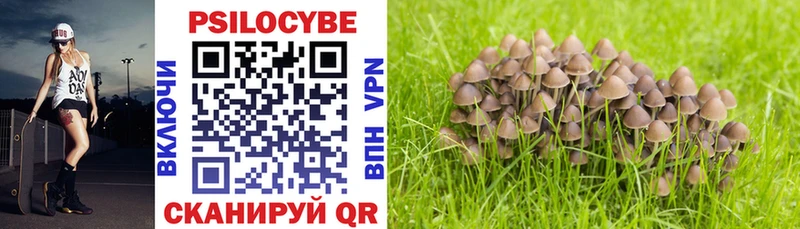 где купить наркотик  Бугульма  Псилоцибиновые грибы Magic Shrooms 