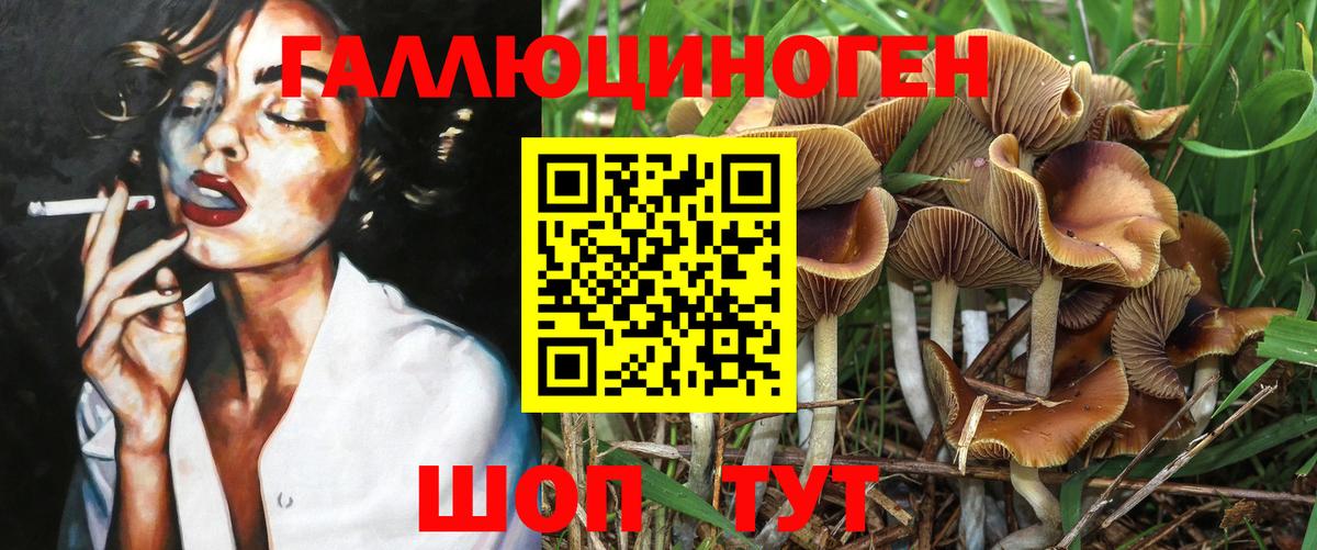 Псилоцибиновые грибы GOLDEN TEACHER Бугульма